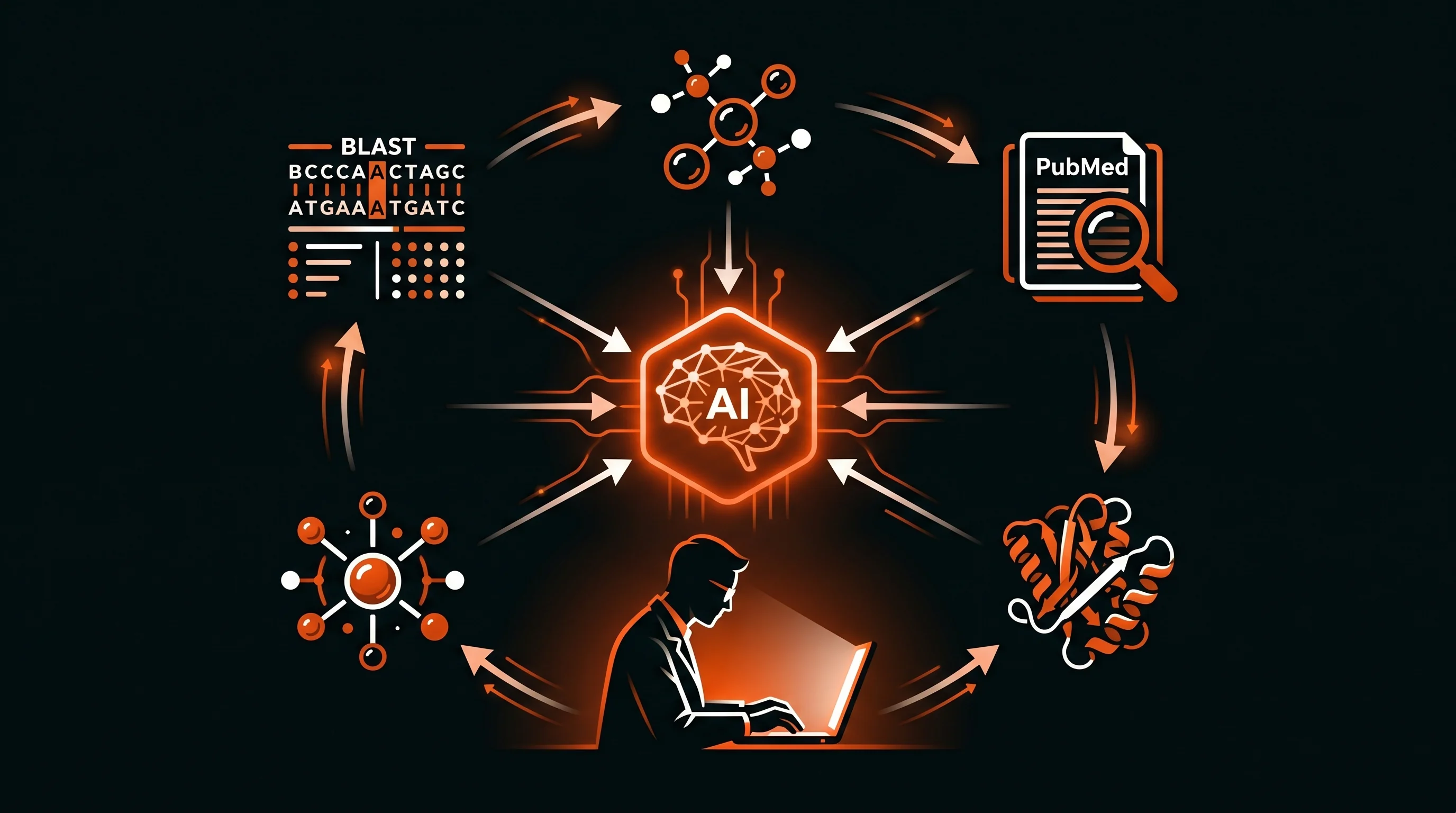 Kutató laptop előtt, narancs hexagon AI-csomóponthoz kapcsolódó tudományos eszközökkel — BLAST, PubMed, molekula struktúra, fehérje foldolás